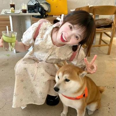 黑狐之风影